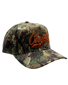 Camo LA Curvbill Snapback