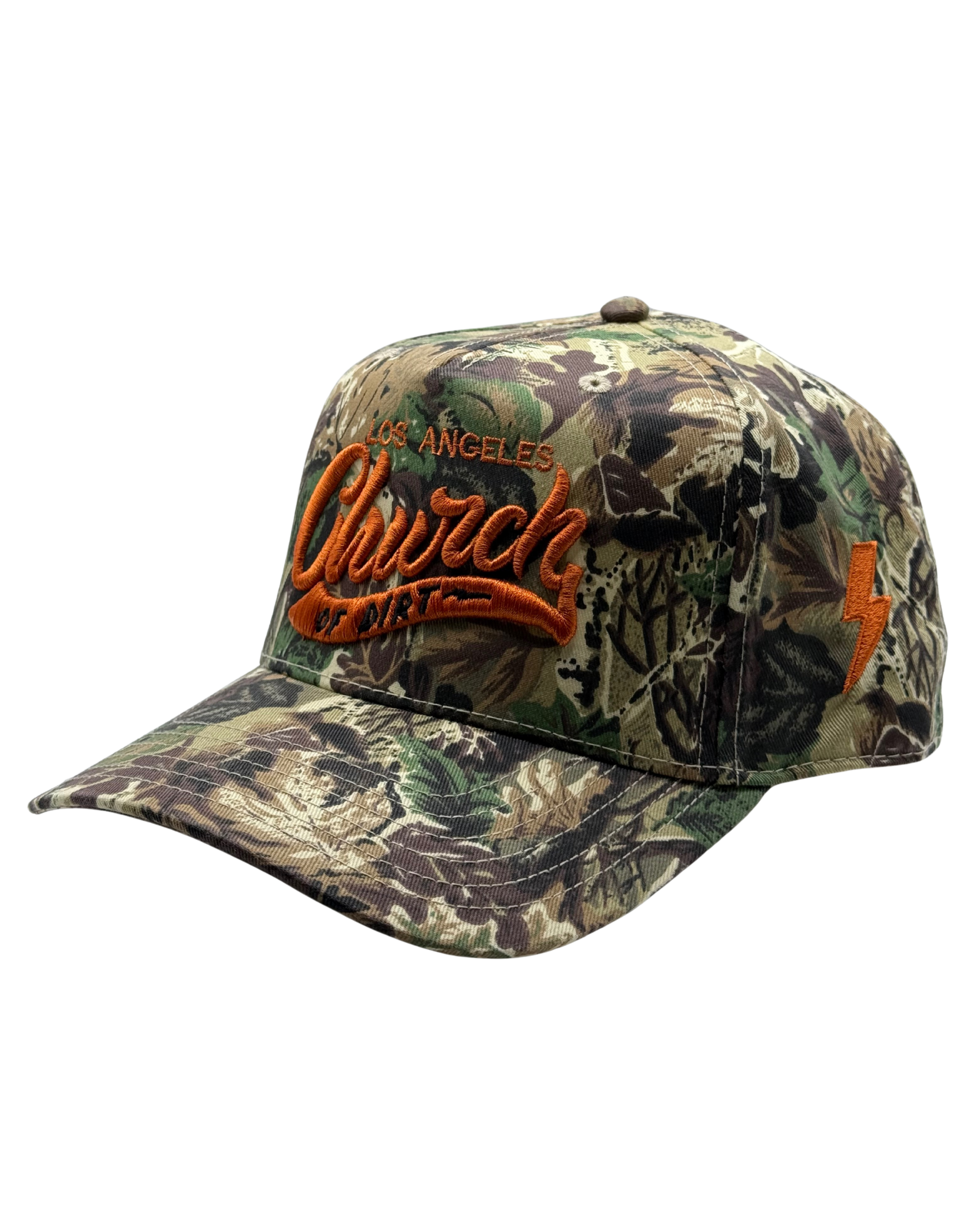 Camo LA Curvbill Snapback